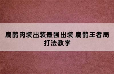 扁鹊肉装出装最强出装 扁鹊王者局打法教学